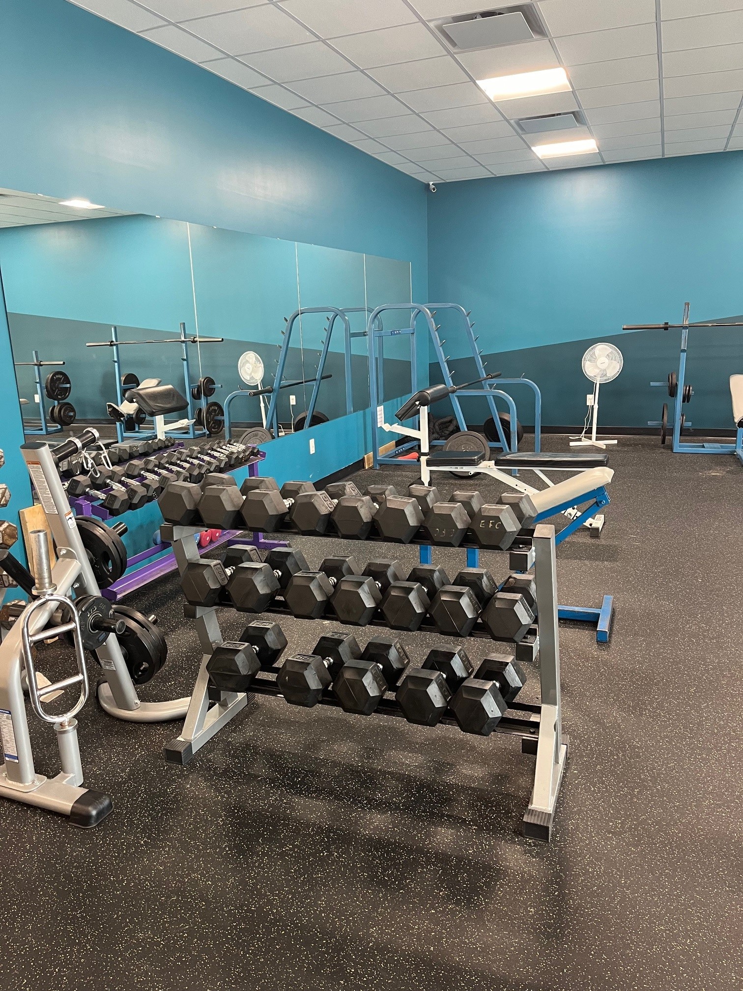 free weights area